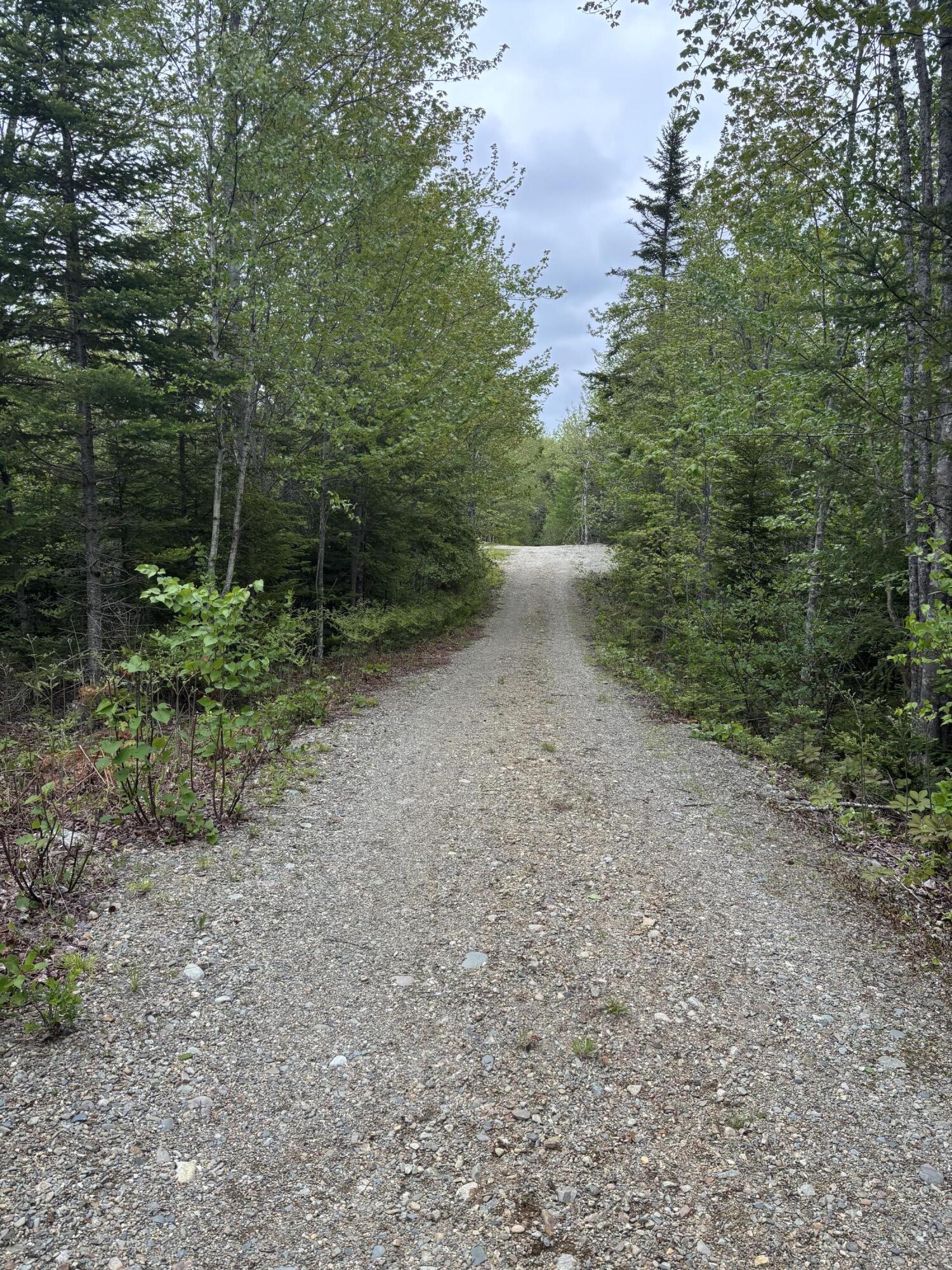 780 East Side Road Addison, ME 04606 - Photo 10 of 47