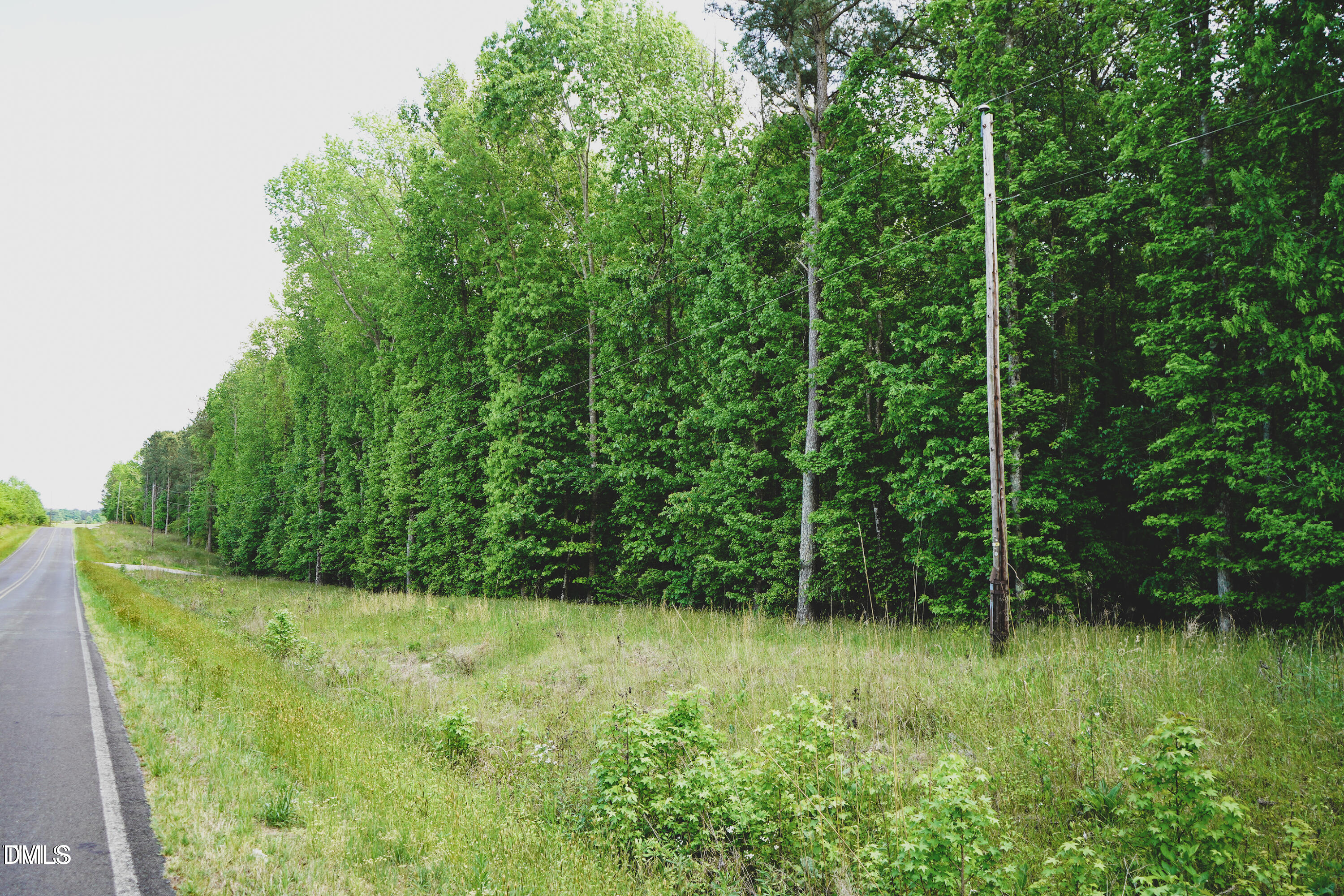 4 Arthur Wilder Road Spring Hope, NC 27882 - Photo 2 of 8 a view of lush green field