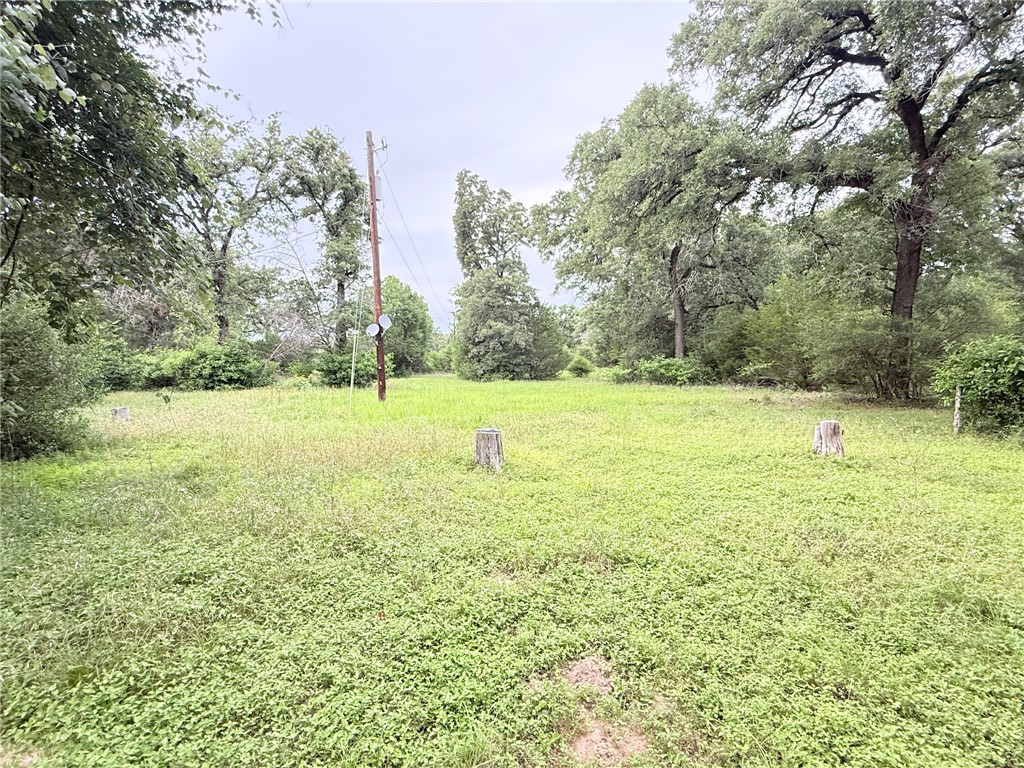 Tbd Wannabe Road Bryan, TX 77808 - Photo 23 of 42