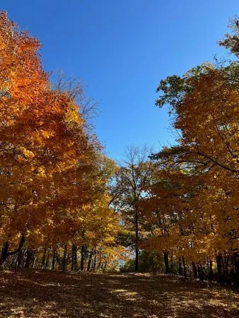 $399,900 | 51-xx Waterbury Road, Mound, MN 55364