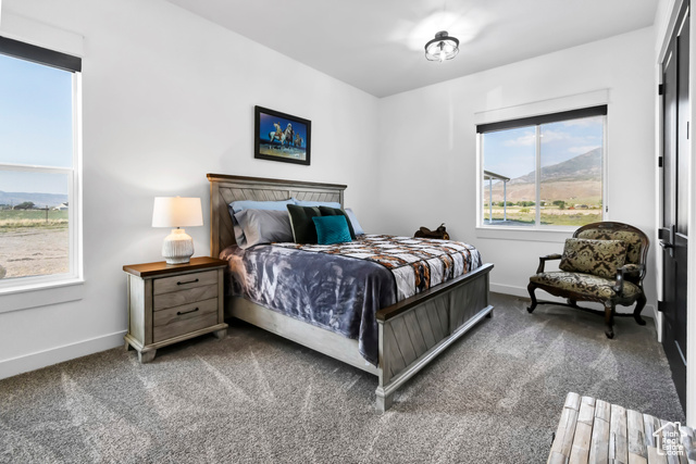 1952 Highway 118 Monroe, UT 84754 - Photo 48 of 88 Carpeted bedroom featuring baseboards