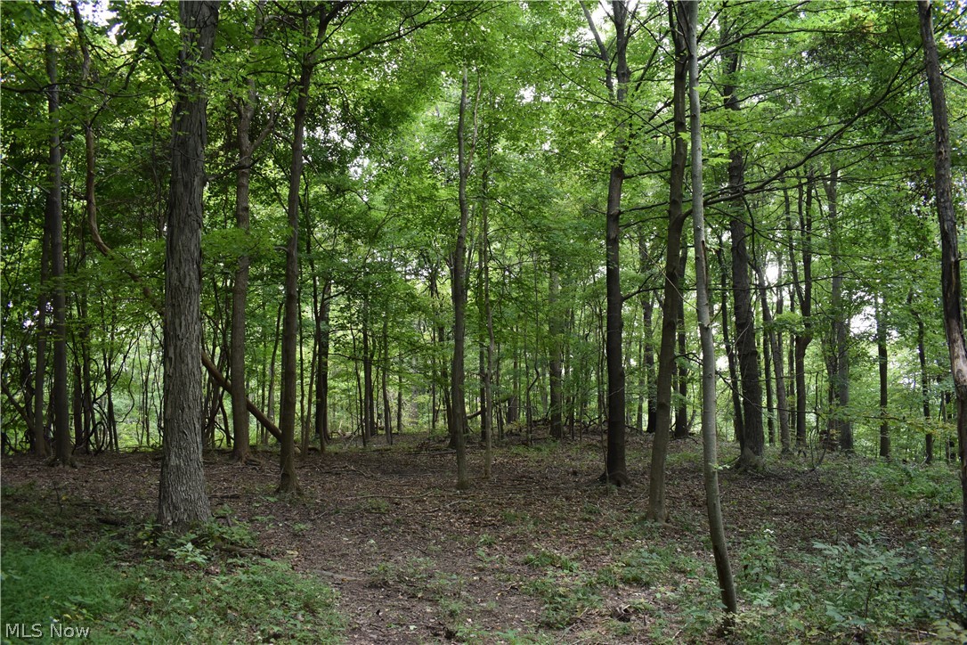 39700 Belmont Ridge Road Flushing, OH 43977 - Photo 25 of 31 Gallery Image 25