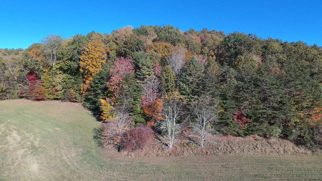 Tbd Kiawana Road Atkins, VA 24311 - Photo 26 of 28 Gallery Image 26