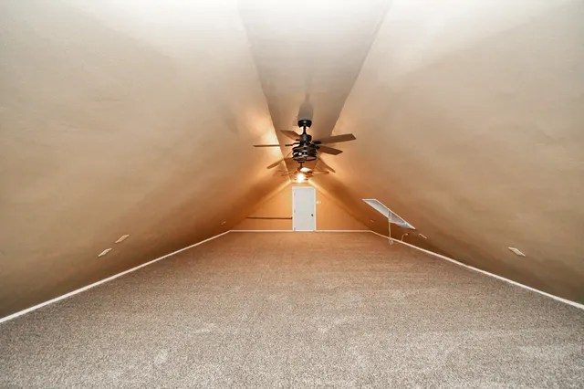 a view of a garden with a slide