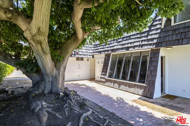 a view of backyard with small cabin