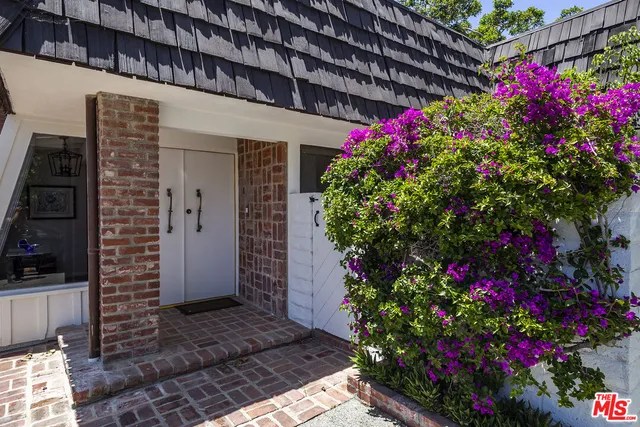 a view of a yard with plants and trees