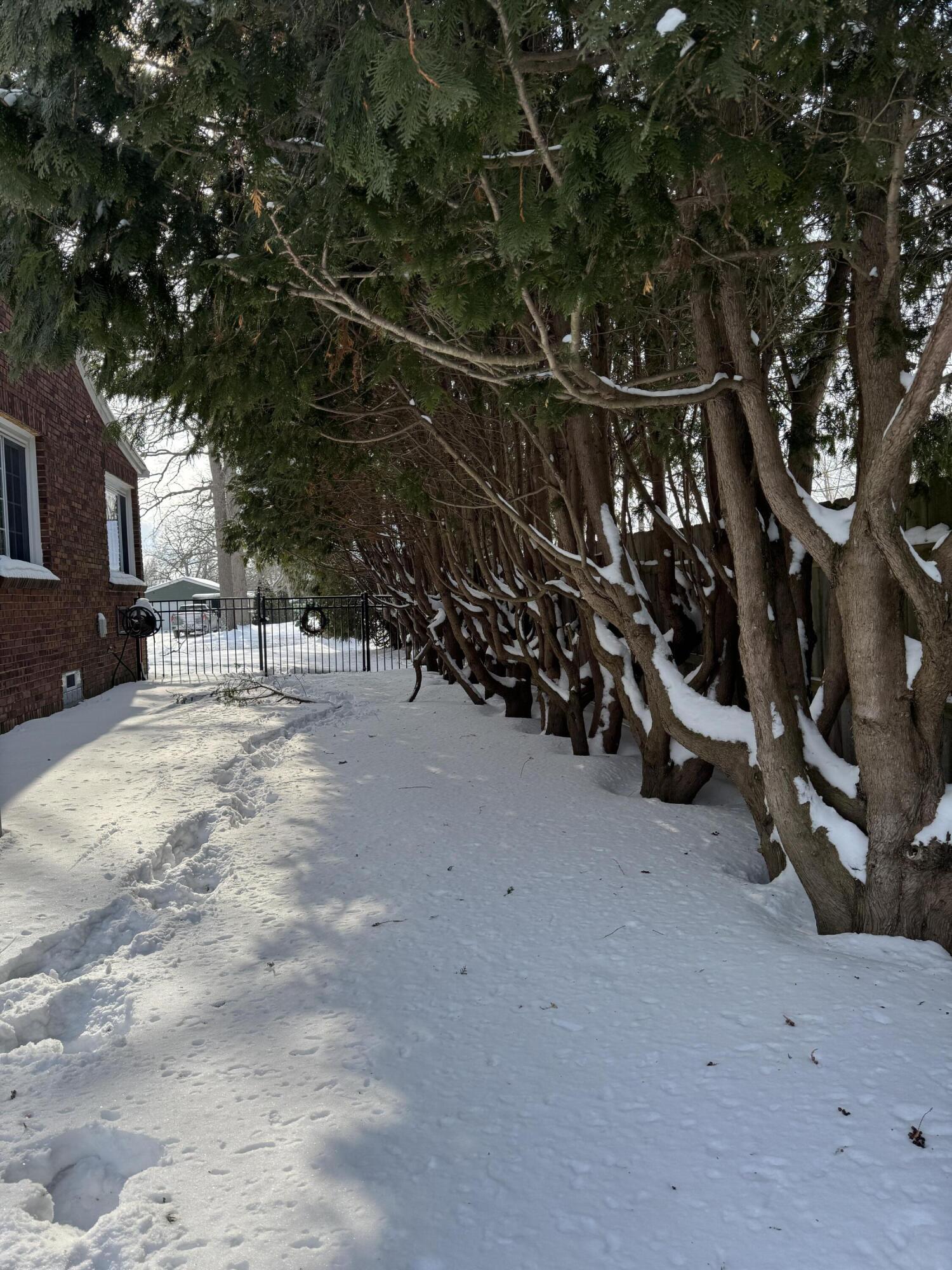 920 Clinton Avenue St. Clair, MI 48079 - Photo 40 of 46 IMG_4580