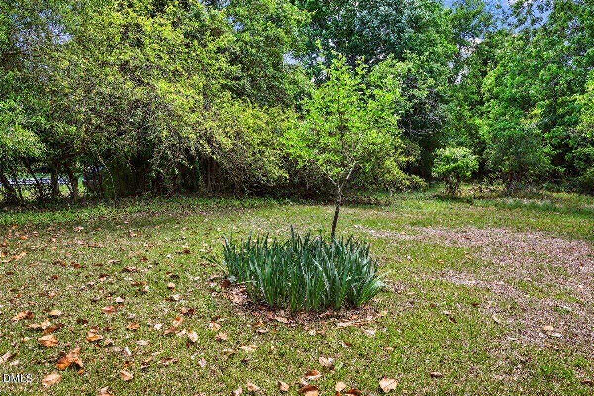 2213 Hunter Hill Road Rocky Mount, NC 27804 - Photo 9 of 11 a view of a backyard with green space