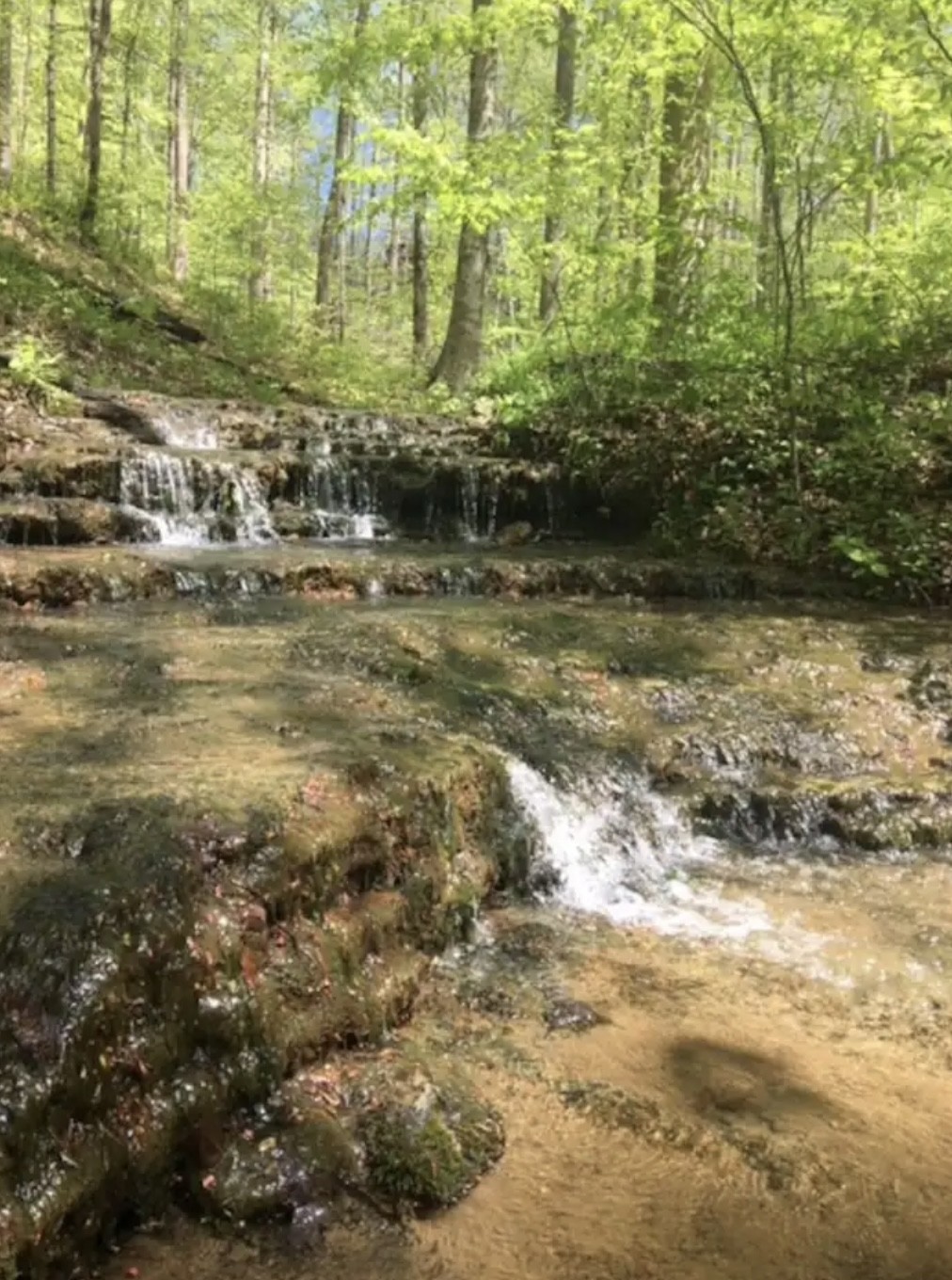 48 Four Star Point Road Smithville, TN 37166 - Photo 5 of 9 a view of ocean