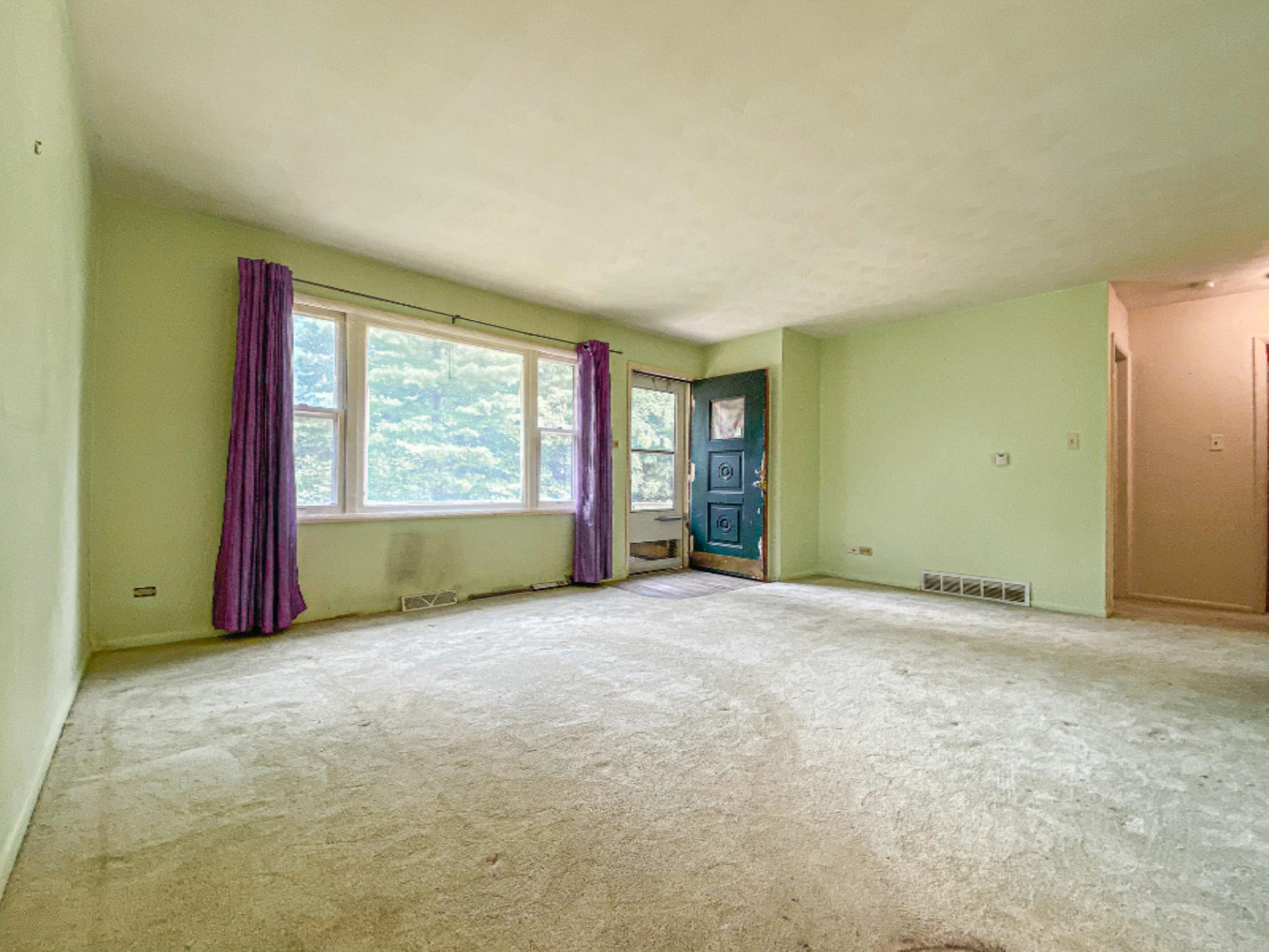 1135 Millard Street Three Rivers, MI 49093 - Photo 13 of 15 LIVING ROOM