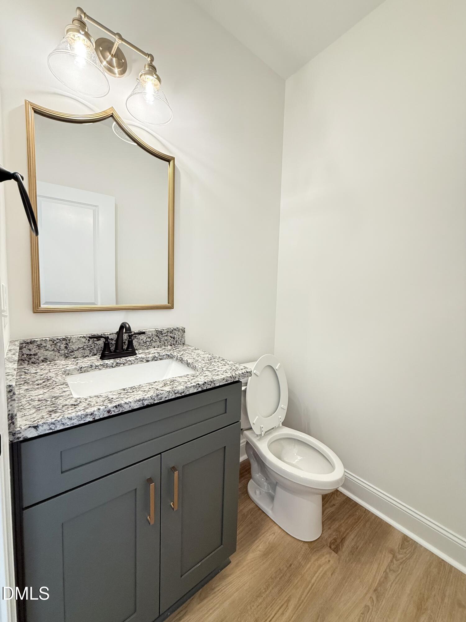 6800 Fire Tower Road Spring Hope, NC 27882 - Photo 5 of 36 a bathroom with a granite countertop toilet a sink and a mirror