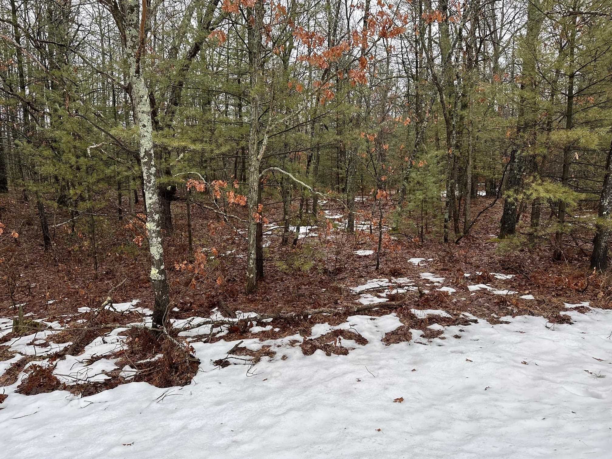 E Albrecht Road Interlochen, MI 49643 - Photo 4 of 6