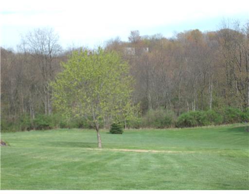 353 Christy Road Tarentum, PA 15084 - Photo 3 of 12 Yard/Garden.