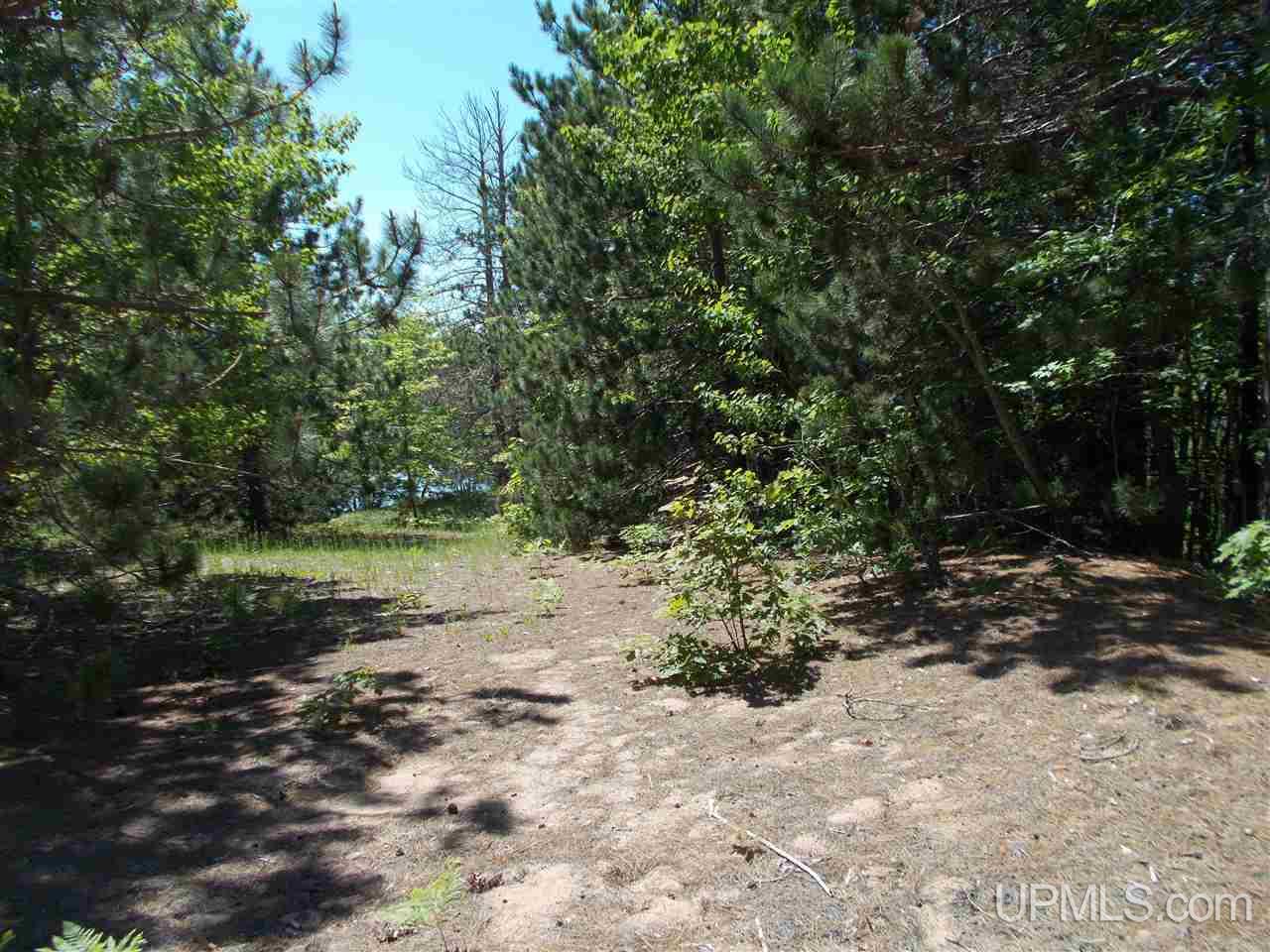 Lot A Lot A D Road Big Bay, MI 49808 - Photo 12 of 16