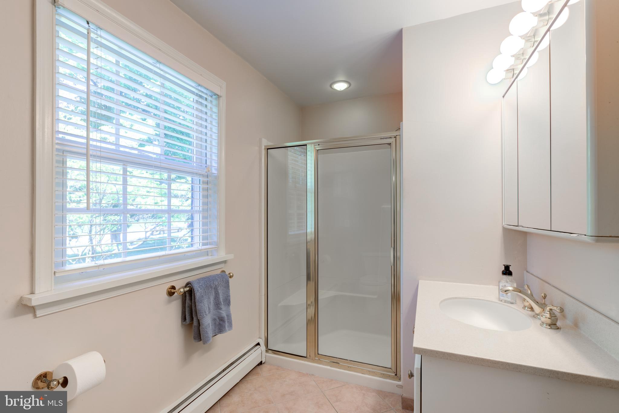420 Accomac Road Wyncote, PA 19095 - Photo 45 of 82 a bathroom with a sink mirror and window