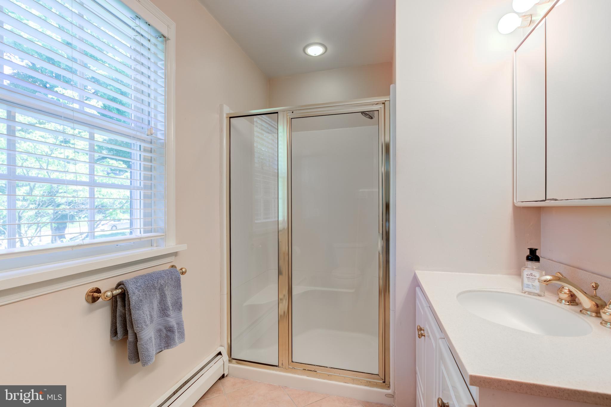 420 Accomac Road Wyncote, PA 19095 - Photo 46 of 82 a bathroom with a sink a mirror and a shower