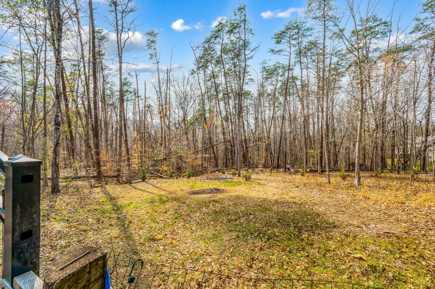 129 Quail Ridge Drive Altavista, VA 24517 - Photo 65 of 76 a view of yard with trees