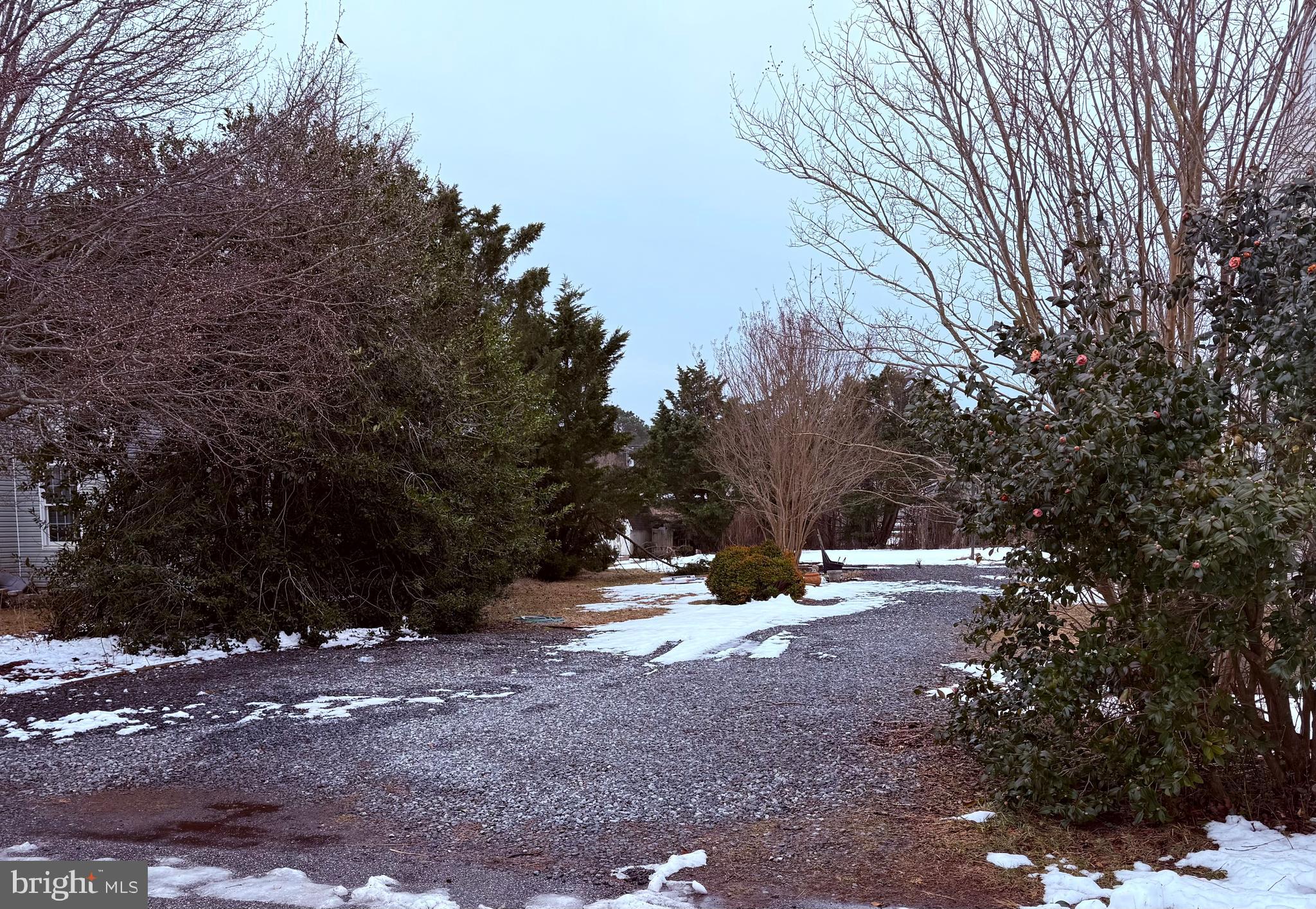 0 Windsor Road Ocean City, MD 21842 - Photo 2 of 2 a backyard of a house with a tree