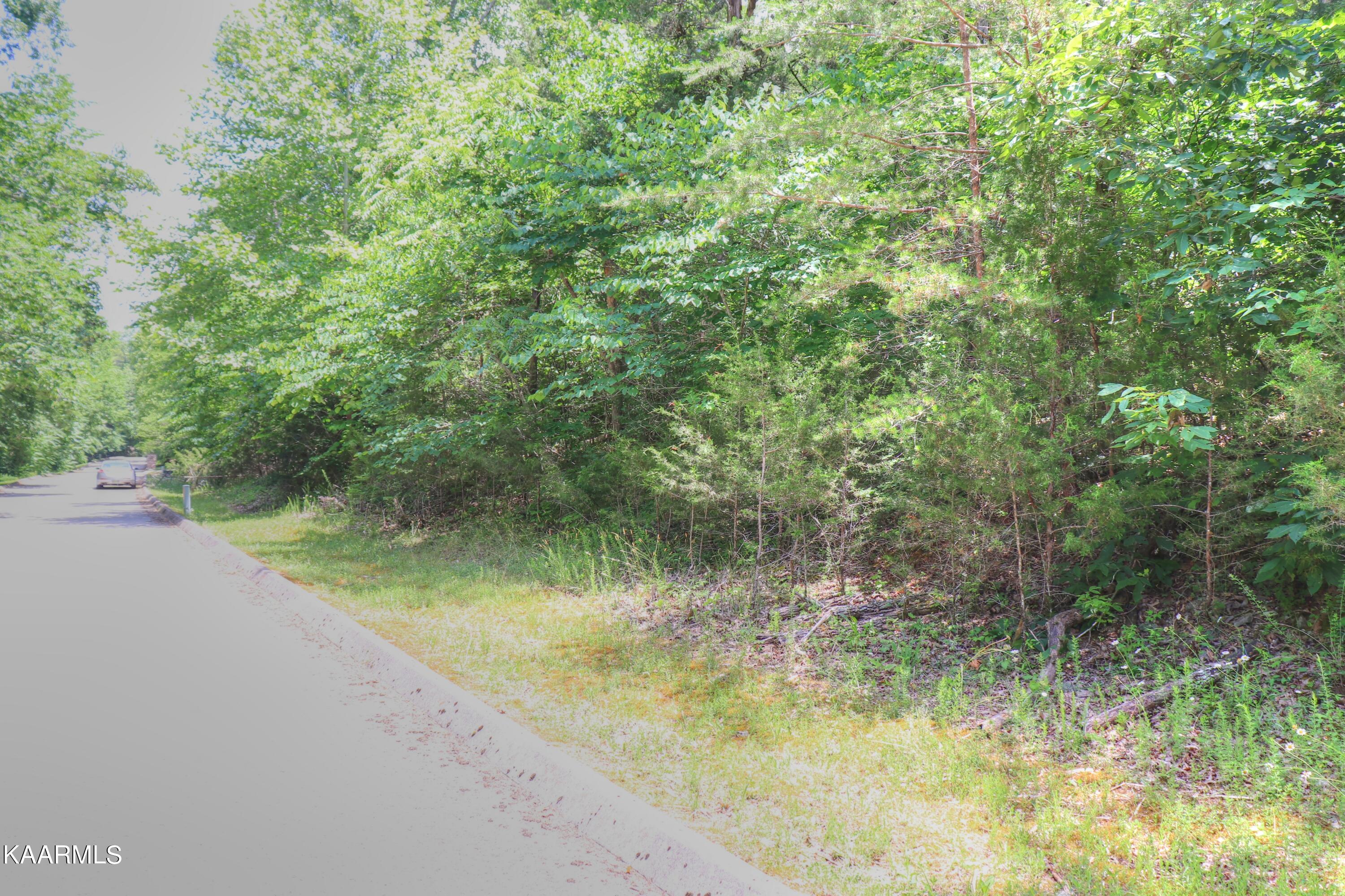 Lot 113 Eagles Ridge Tazewell, TN 37879 - Photo 1 of 32 Lot 113 Eagles Ridge