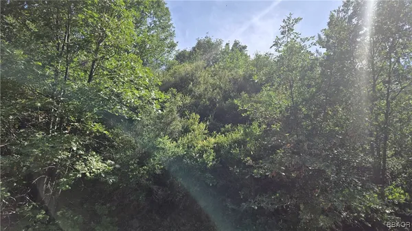 $7,450 | 987 Elder Drive, Cedar Glen, CA 92321