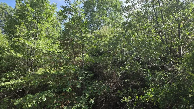 $7,450 | 987 Elder Drive, Cedar Glen, CA 92321