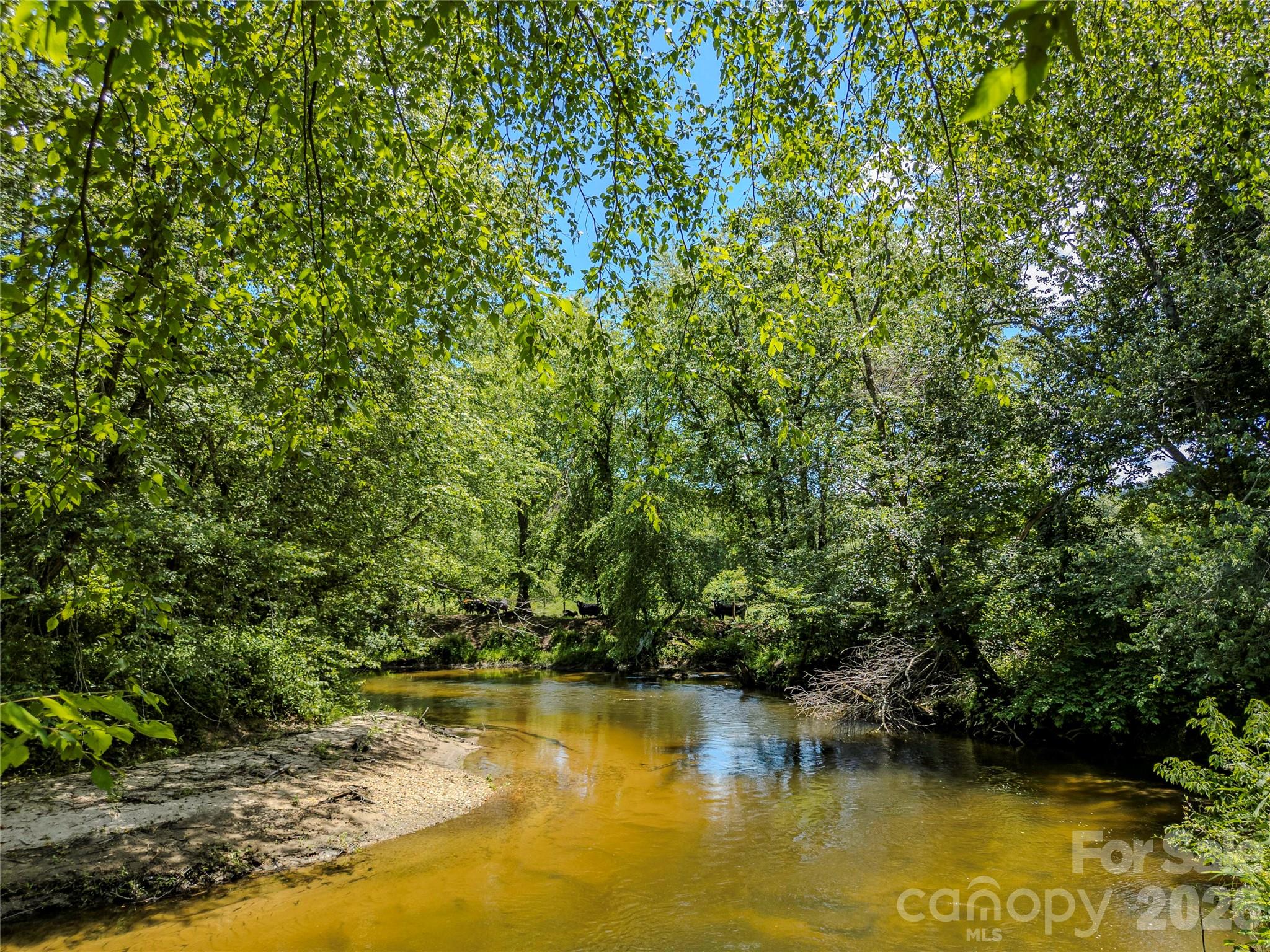 Tbd Canebrake Road Pisgah Forest, NC 28768 - Photo 10 of 43