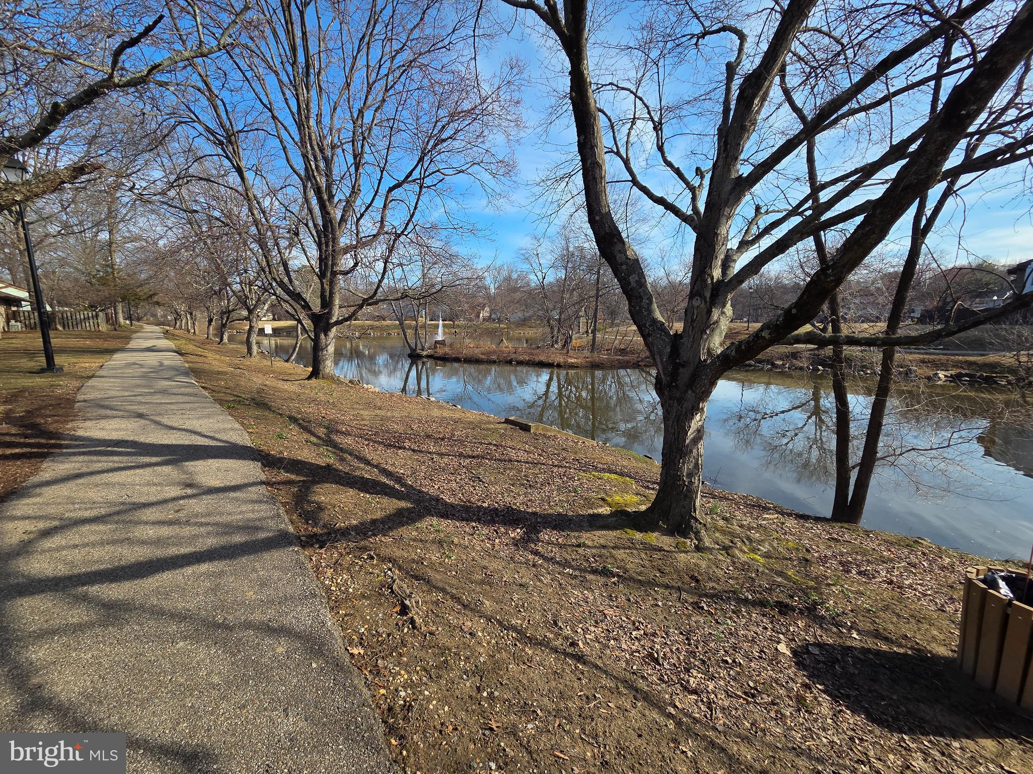1729 Leisure Way Crofton, MD 21114 - Photo 3 of 20 a view of a yard covered with snow on the road