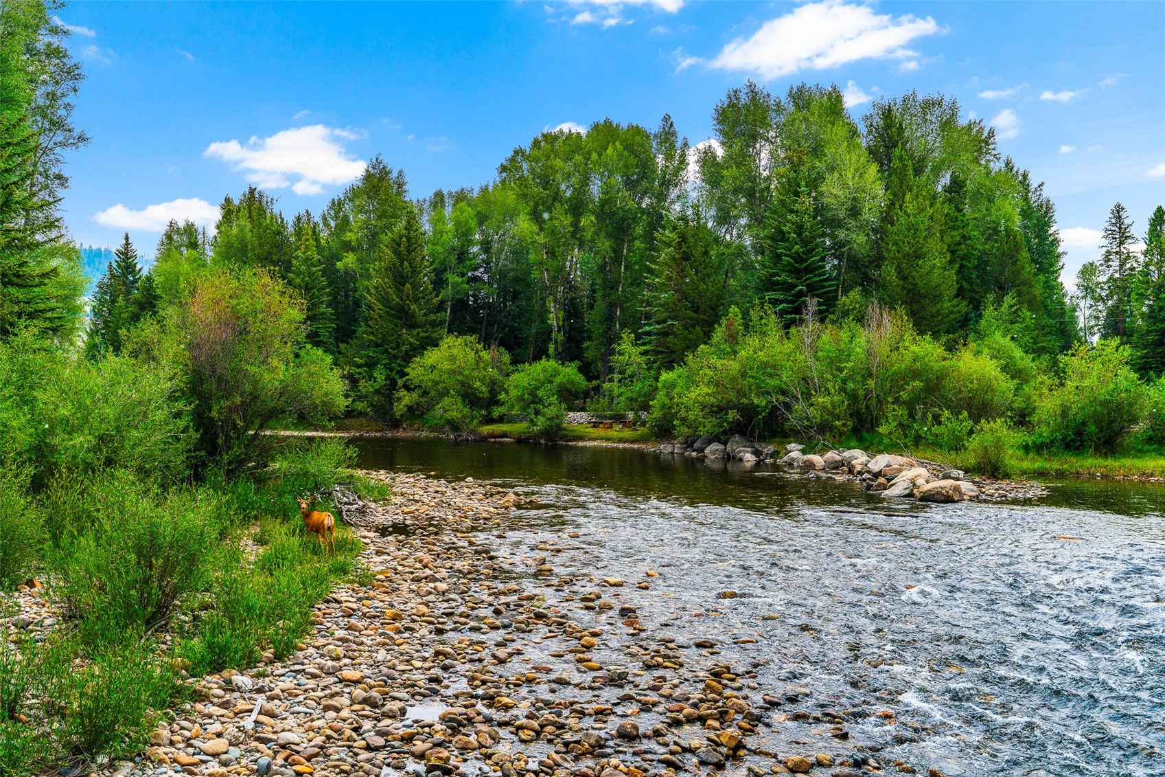 56 Riverside Drive Silverthorne, CO 80498 - Photo 4 of 50