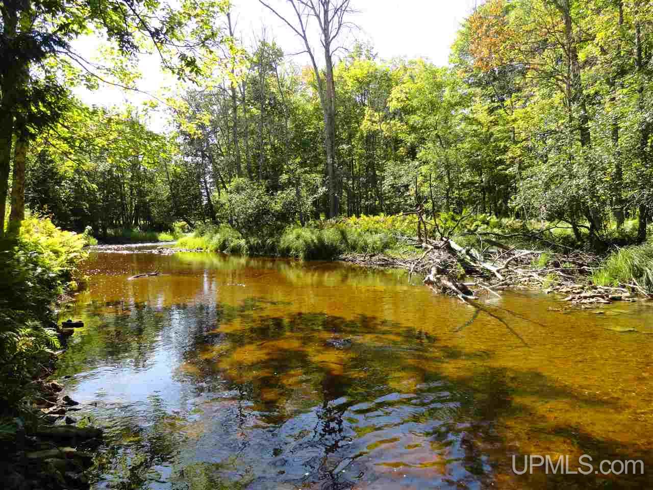 6386 Co Rd 432 Rock, MI 49880 - Photo 6 of 39