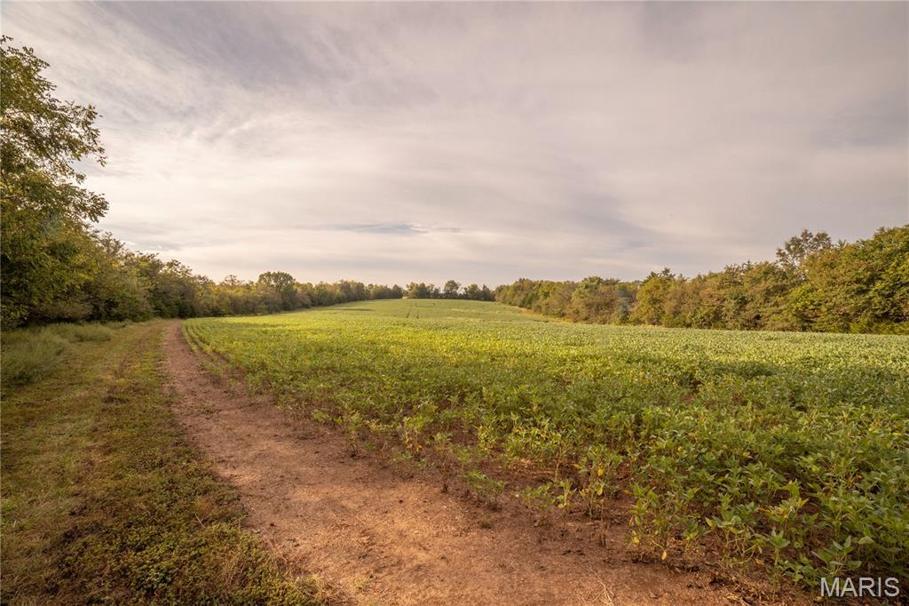 0 Abbott Road Bellflower, MO 63333 - Photo 56 of 86 Gallery Image 56