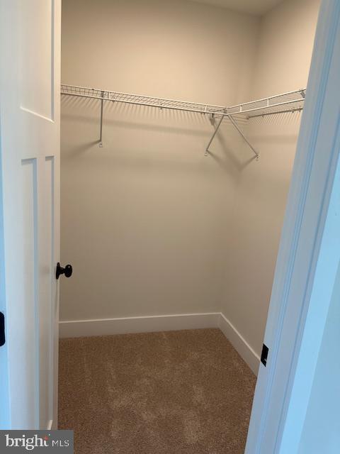 15 3rd Street Brooklawn, NJ 08030 - Photo 11 of 13 a view of small space with racks on the wall