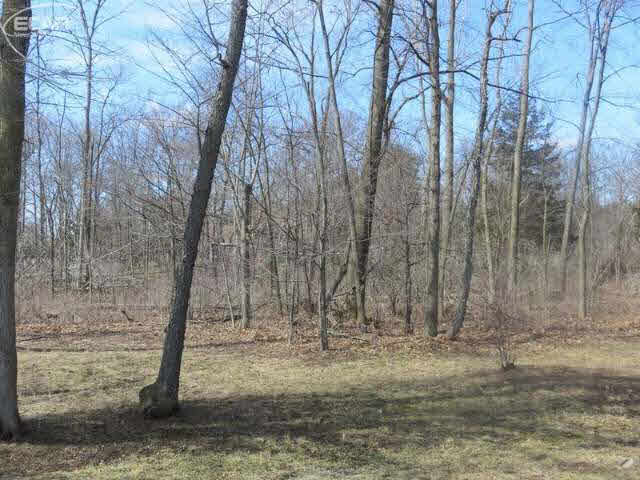 9486 Coldwater Road Flushing, MI 48433 - Photo 24 of 27 20458637-23.JPG