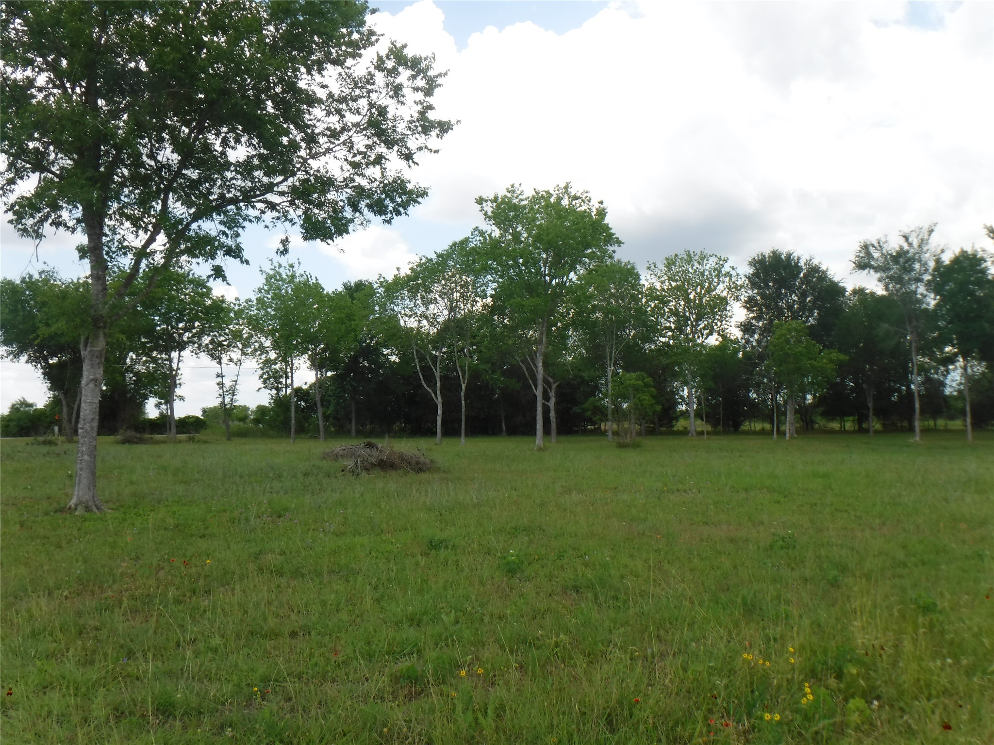 104 Riverside Drive Bastrop, TX 78602 - Photo 8 of 28 a view of a grassy field with trees