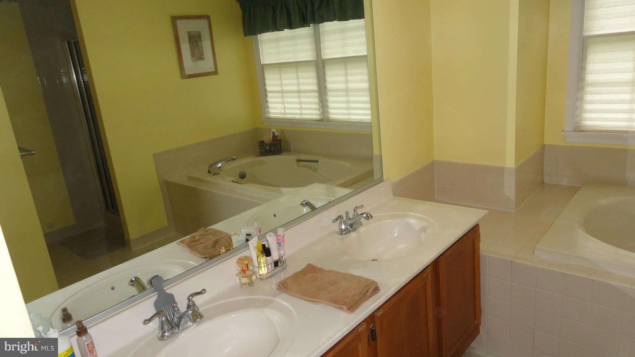 1021 Rodgers Road Churchton, MD 20733 - Photo 22 of 29 a bathroom with a sink and a bathtub