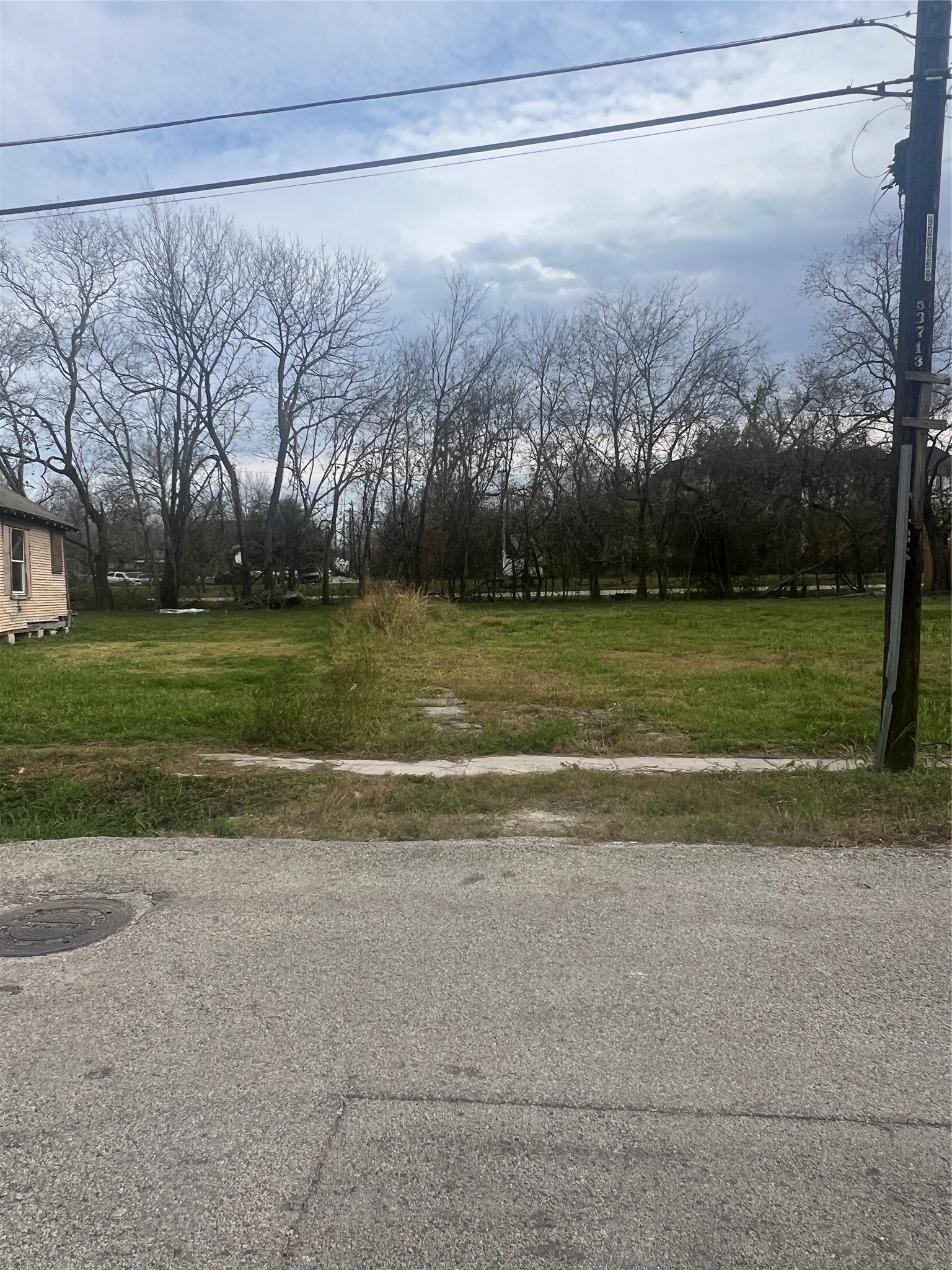 3313 Sauer Street Houston, TX 77004 - Photo 6 of 8 a view of a yard and a big yard