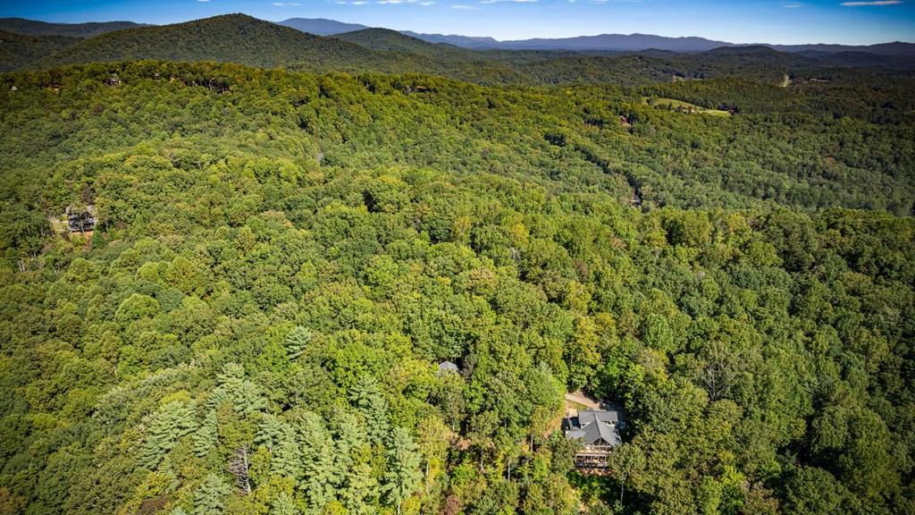 0 Broken Arrow Path Blue Ridge, GA 30513 - Photo 18 of 30 Gallery Image 18