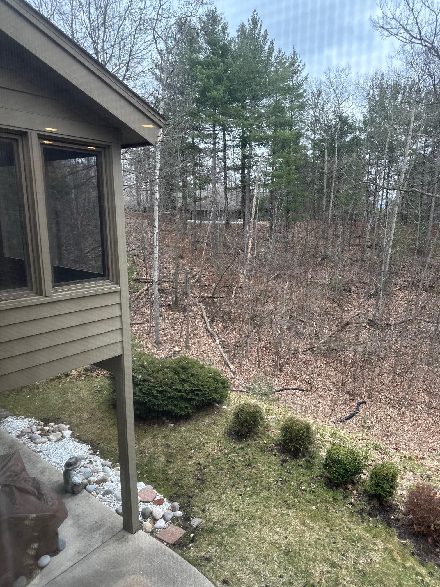 6590 Mission Ridge Traverse City, MI 49686 - Photo 10 of 13