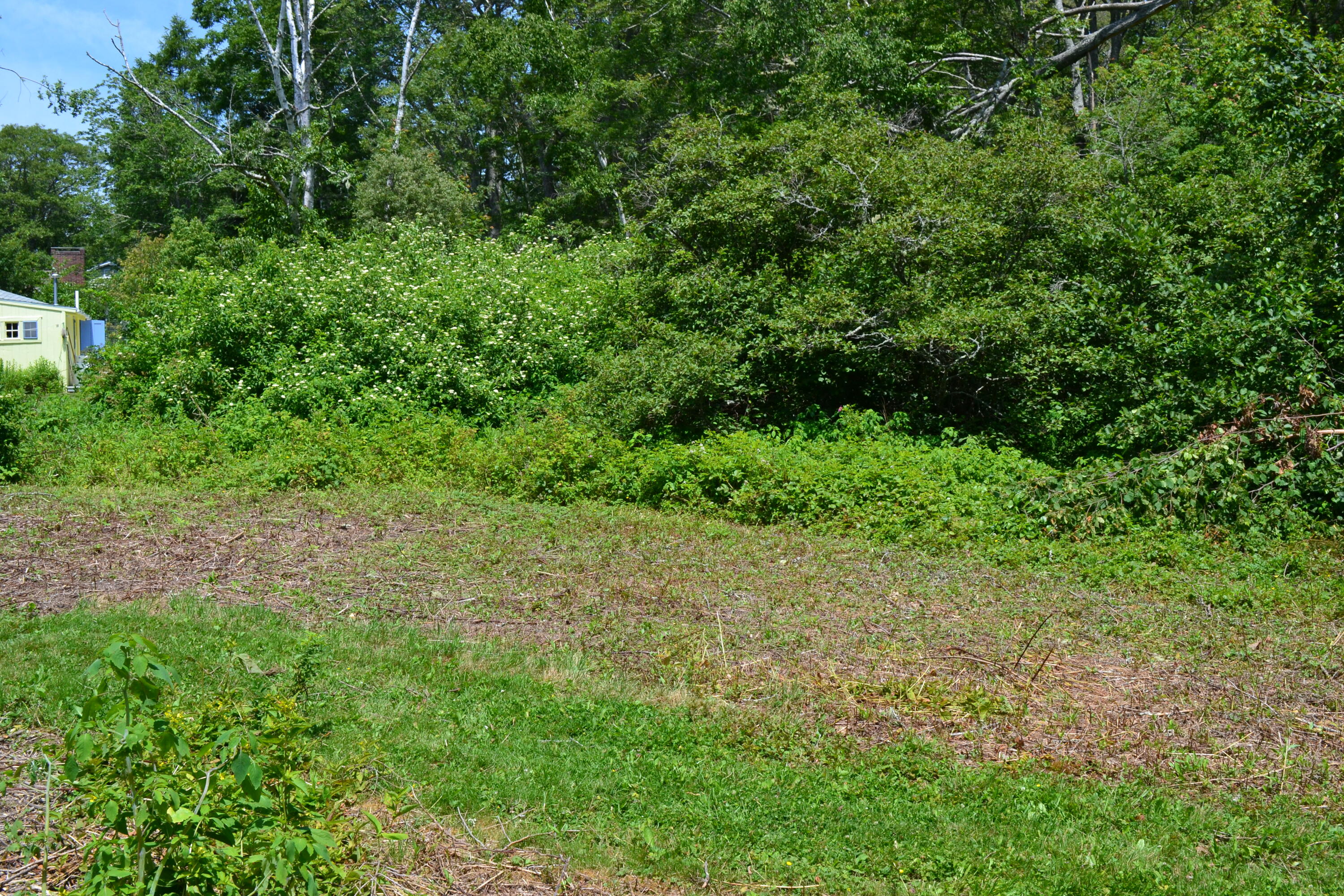 63 Bradley Shore Road Pemaquid, ME 04558 - Photo 12 of 22 DSC_0102