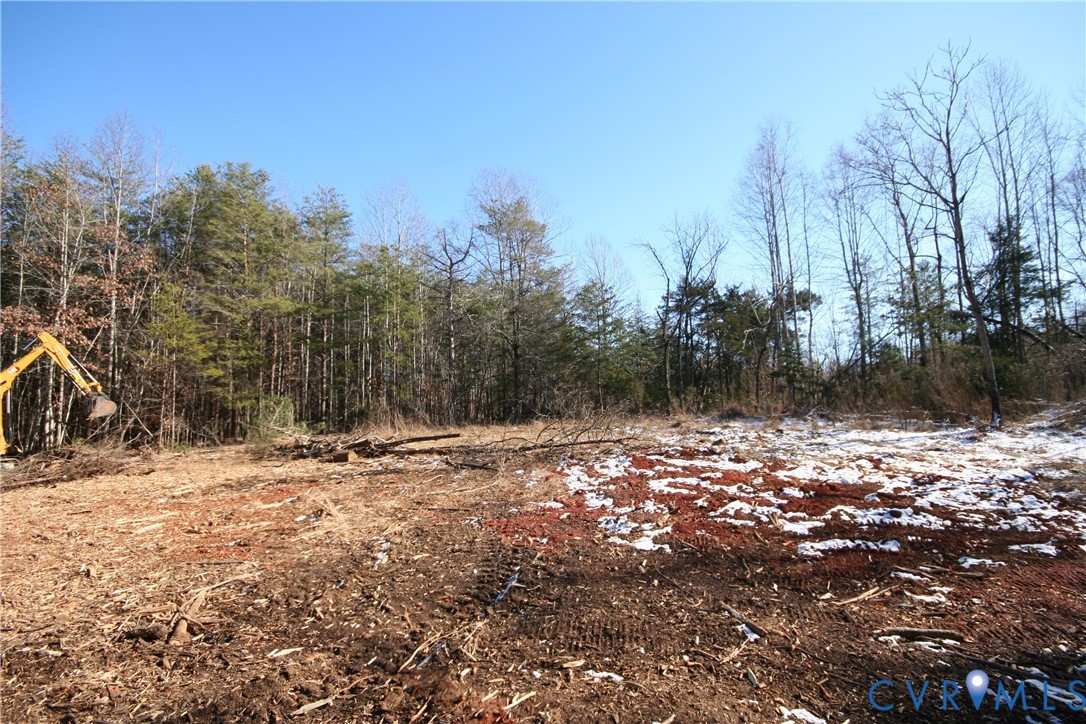 B Slate River Mill Road Dillwyn, VA 23936 - Photo 10 of 14 Gallery Image 10