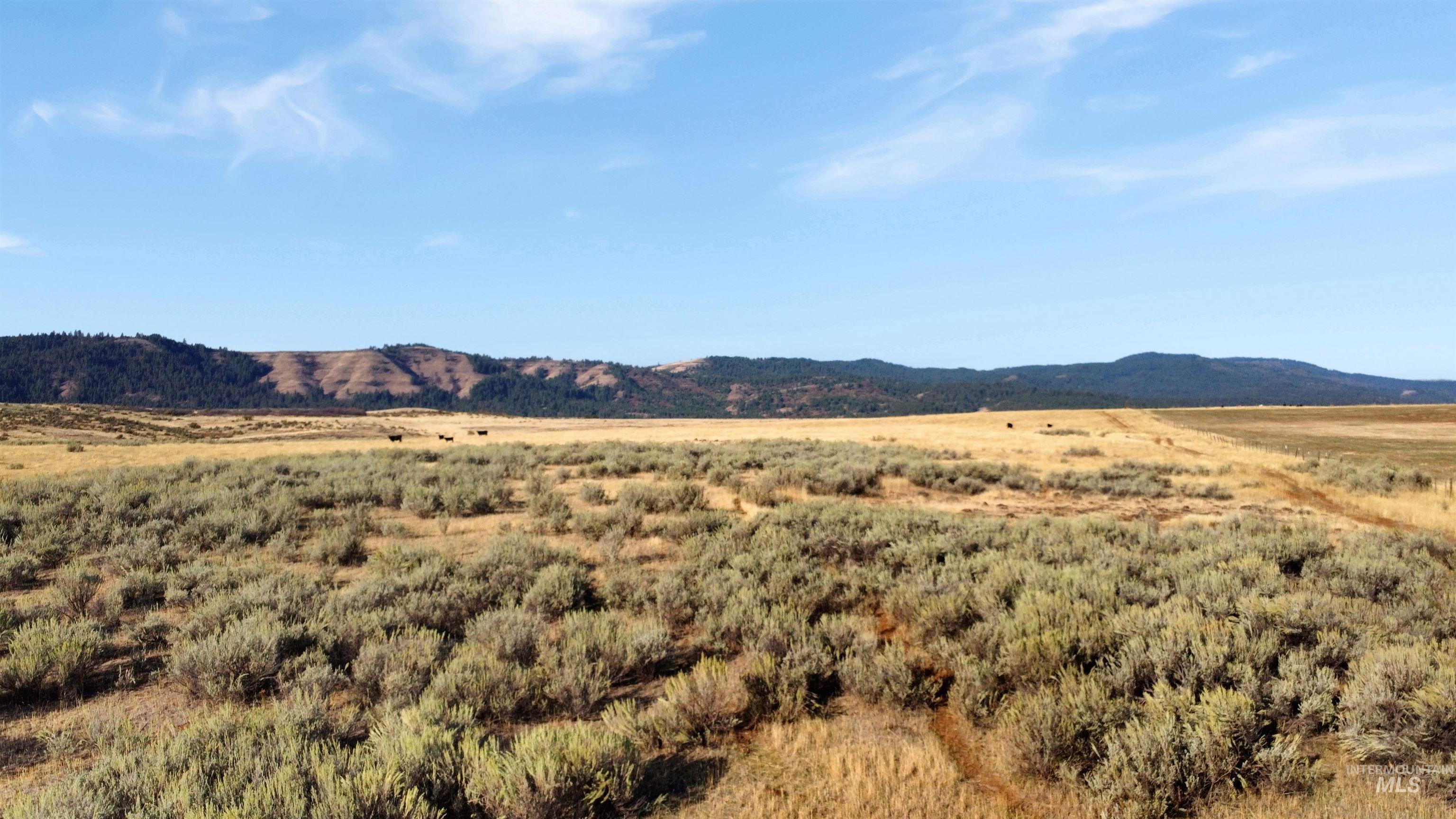 Tbd Airport Road Council, ID 83612 - Photo 23 of 37 Gallery Image 23