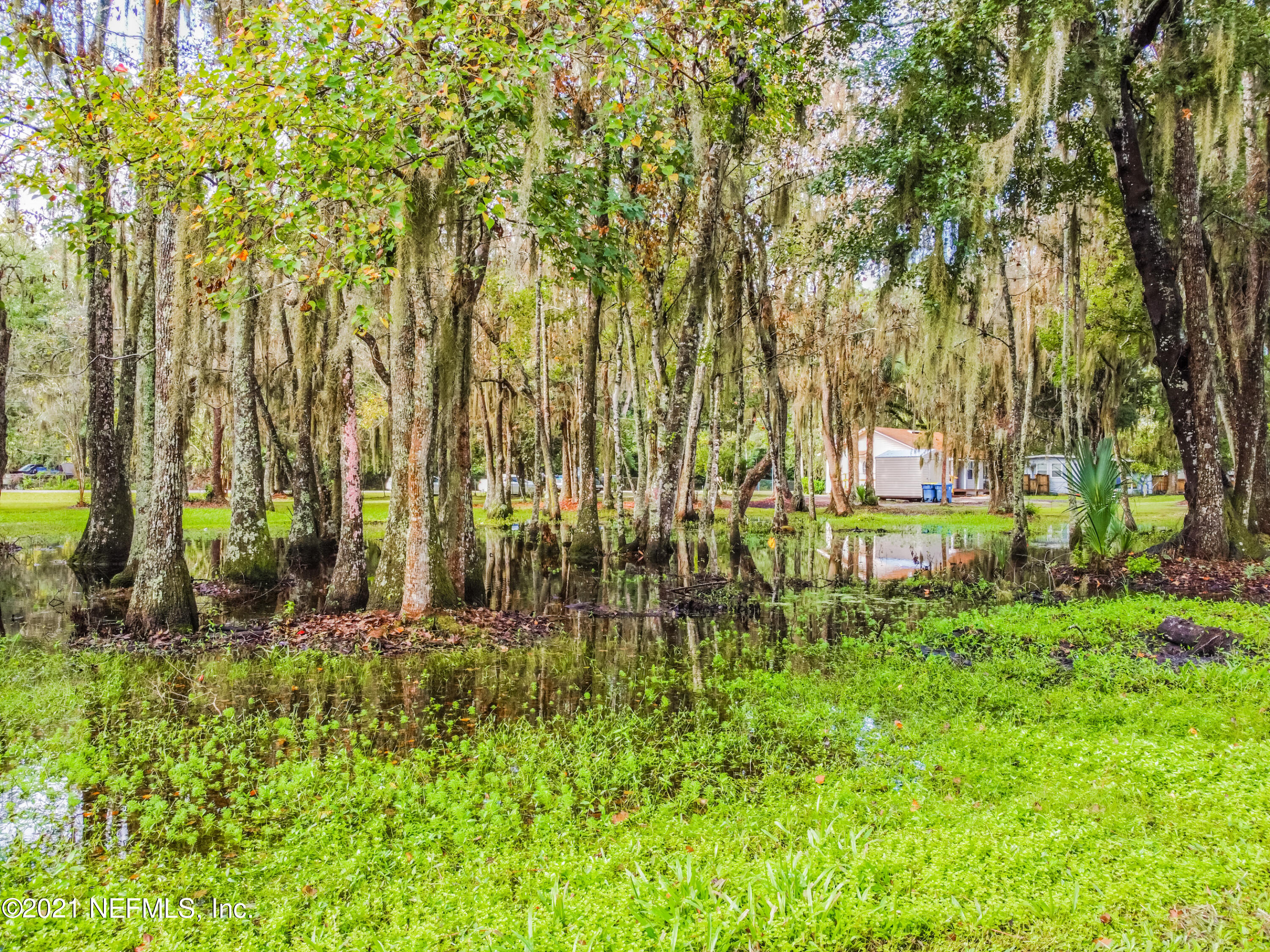 3049 Starratt Road Jacksonville, FL 32226 - Photo 33 of 46 POND VIEW