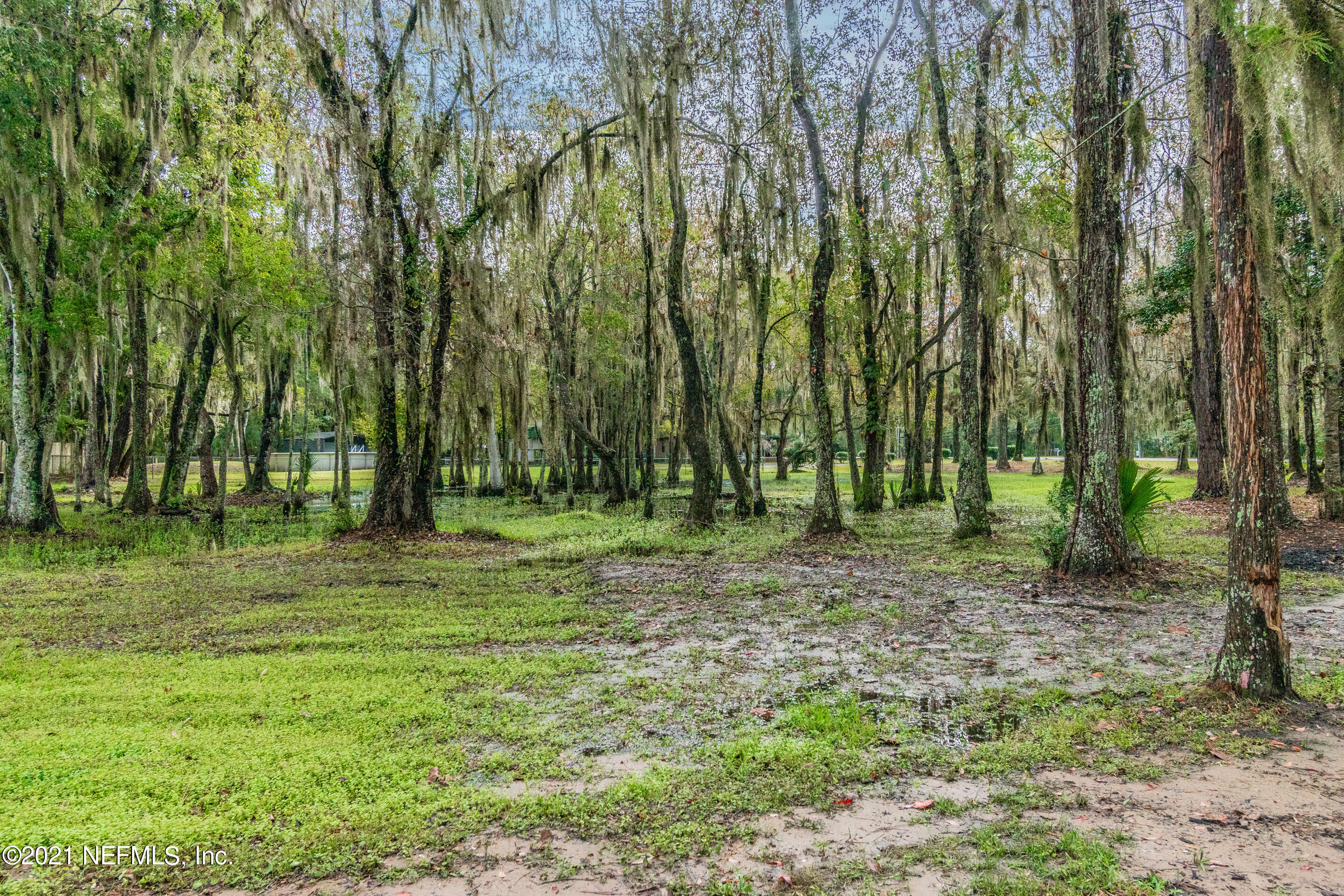 3049 Starratt Road Jacksonville, FL 32226 - Photo 34 of 46 POND VIEW