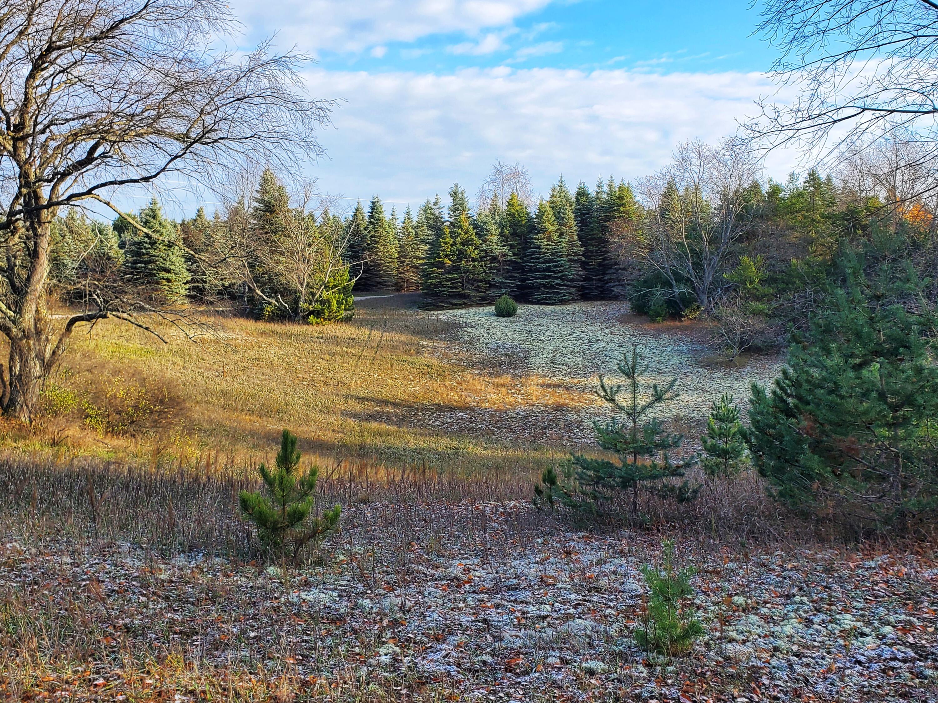 Wells Road Thompsonville, MI 49683 - Photo 1 of 15 20231031_100101-01