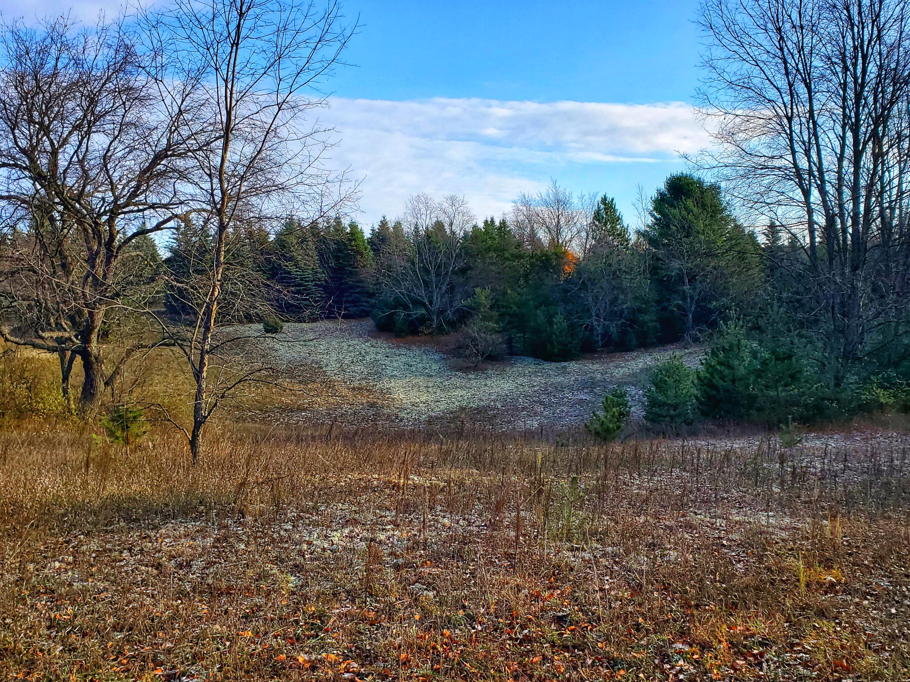 Wells Road Thompsonville, MI 49683 - Photo 3 of 15 20231031_100029-01