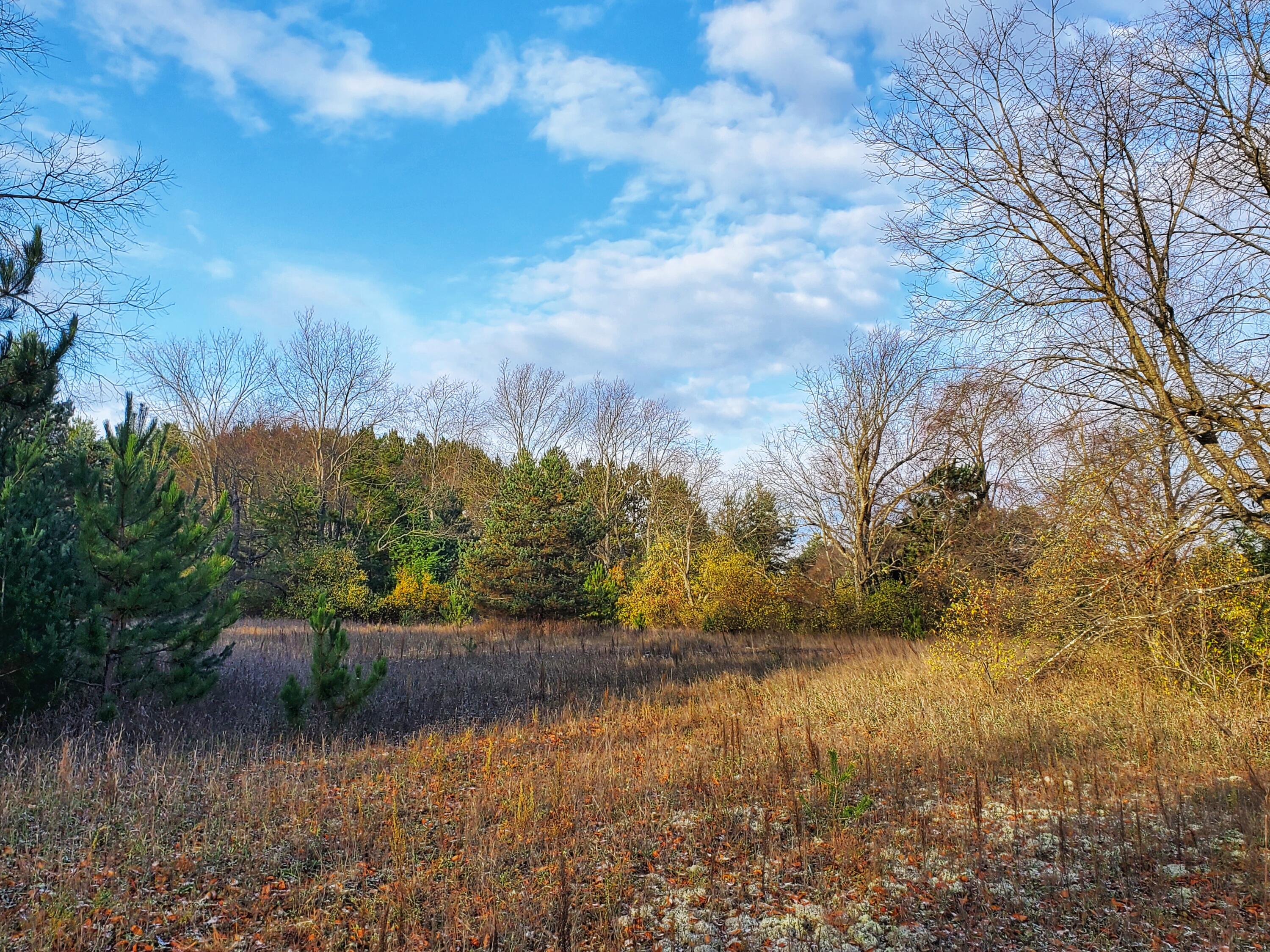 Wells Road Thompsonville, MI 49683 - Photo 4 of 15 20231031_100050-01
