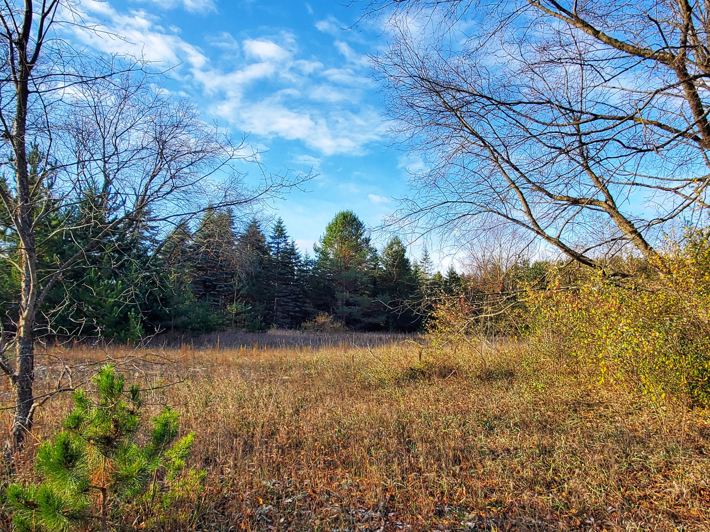 Wells Road Thompsonville, MI 49683 - Photo 5 of 15 20231031_100125-01