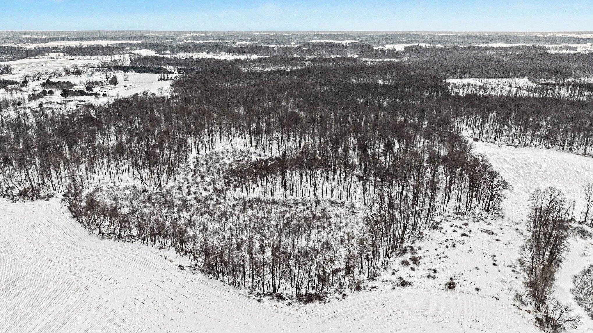 12251 Flowerfield Road Marcellus, MI 49067 - Photo 20 of 25 019_file_4360