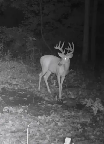 $409,000 | 12251 Flowerfield Road, Marcellus, MI 49067