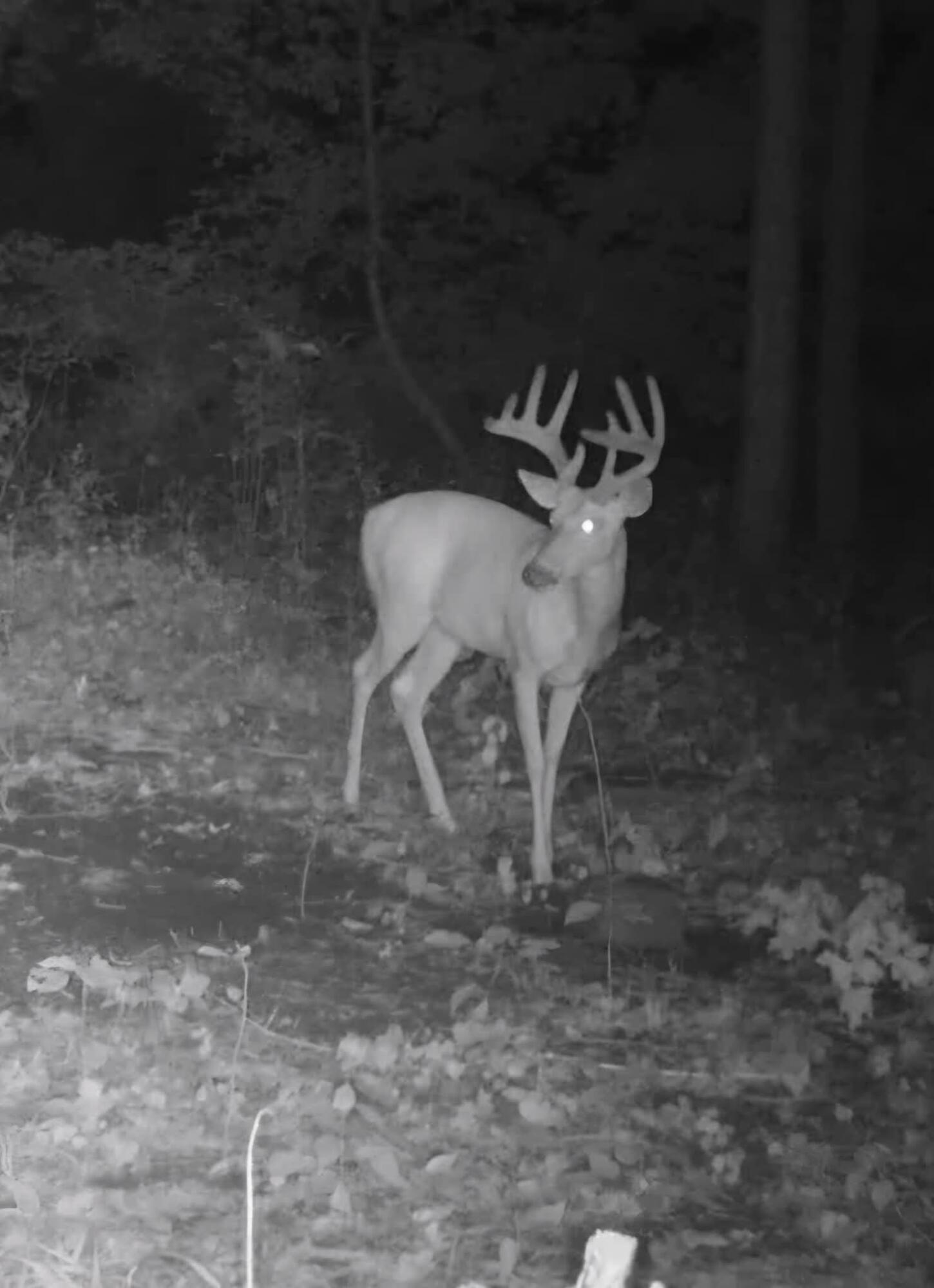 12251 Flowerfield Road Marcellus, MI 49067 - Photo 23 of 25 FB_IMG_1768952899740