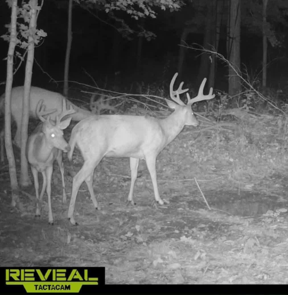 12251 Flowerfield Road Marcellus, MI 49067 - Photo 24 of 25 FB_IMG_1768952909804